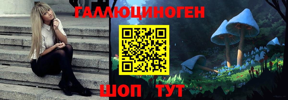 Псилоцибиновые грибы GOLDEN TEACHER  Галлюциногенные грибы Magic Shrooms  Губкинский  Вход с VPN 